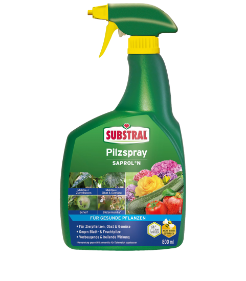 SUBSTRAL® Pilzspray Saprol N 800 ml