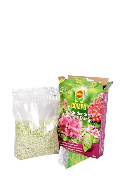 COMPO Rhododendron Langzeit-Dnger 2 kg | Kiesundco