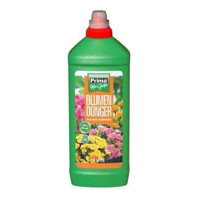 saatgut tomaten Dein 12 Bio Tomatensamen Set kaufen ➤ mit Keimgarantie