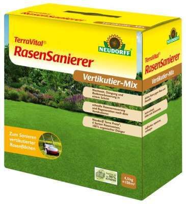 sauerampfer saatgut Sauerampfer