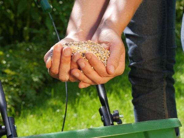 SUBSTRAL Rasendnger mit Unkrautvernichter f. 400m 9 kg | Kiesundco
