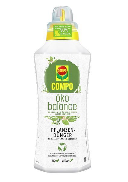 zimmerpflanzen wenig tageslicht Pflegeleichte Pflanzen, wenig Licht  Green Me Up