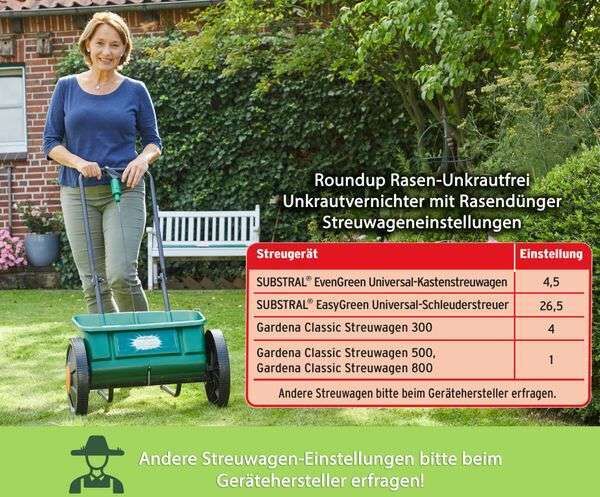 aloe vera innen Aloe Vera Pflanze - echter Aloe Vera